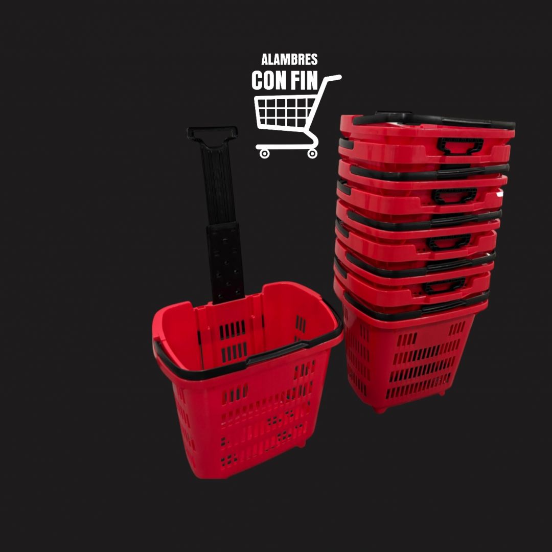 canasto-con-manija-extensible-43